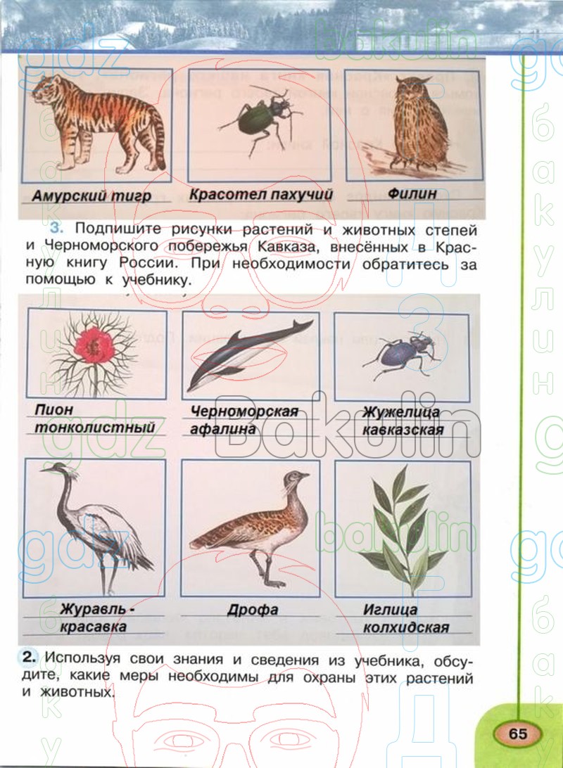 ГДЗ рабочая тетрадь по окружающему миру 4 класс Плешаков, Новицкая часть 1,  2 Перспектива, Решение, Часть 1 (Страница), 65